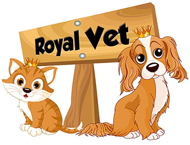 RoyalVet Veteriner Kliniği